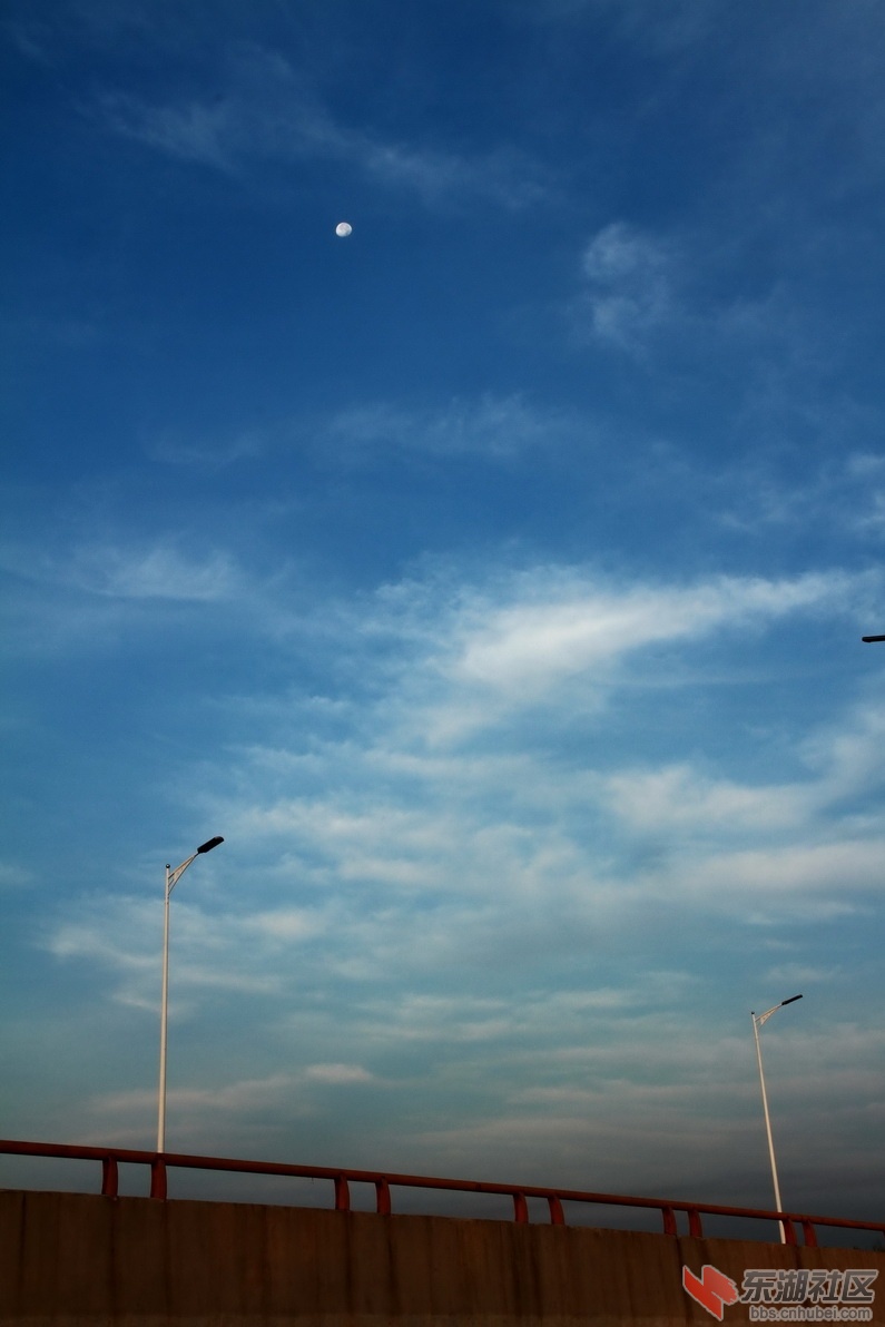 IMG_1842_调整大小.JPG