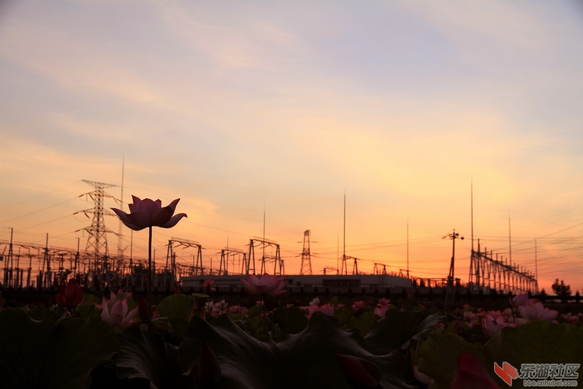 IMG_1866_调整大小.JPG