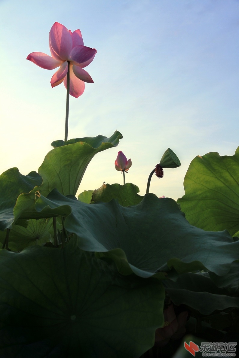 IMG_1929_调整大小.JPG