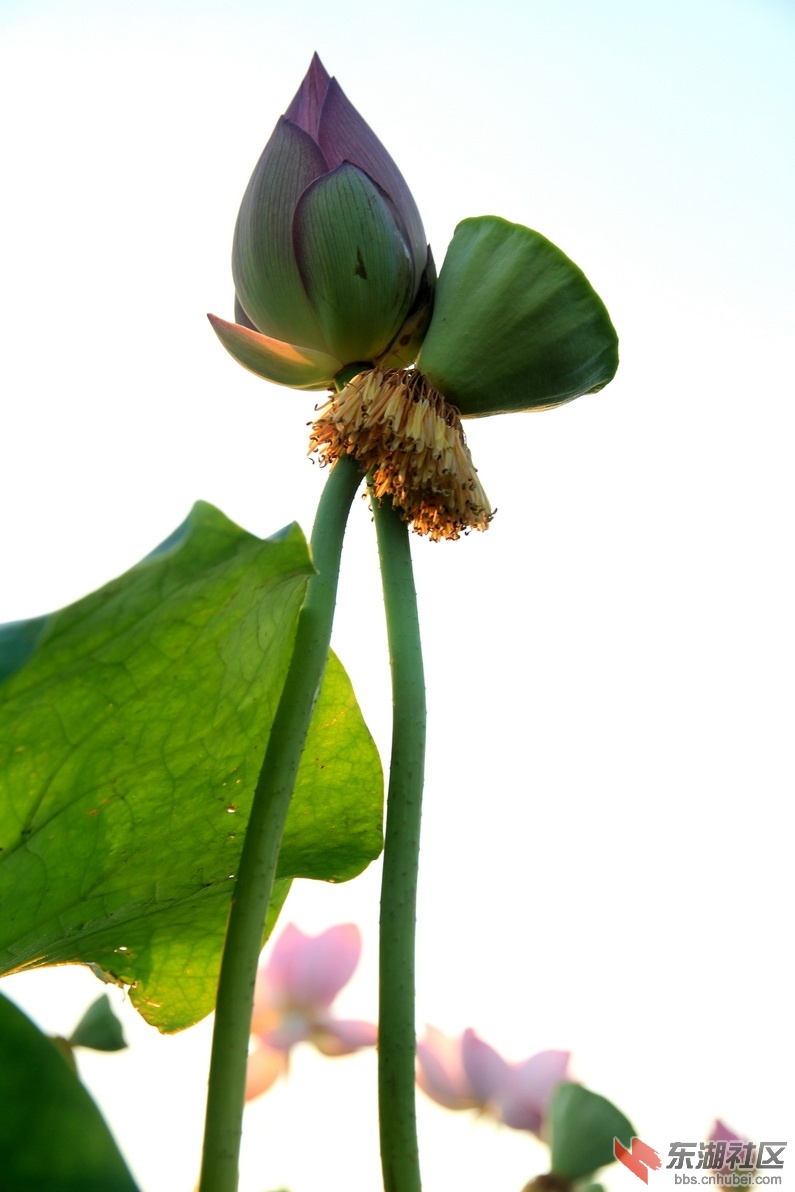 IMG_1937_调整大小.JPG