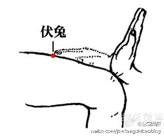 伏兔穴.jpg