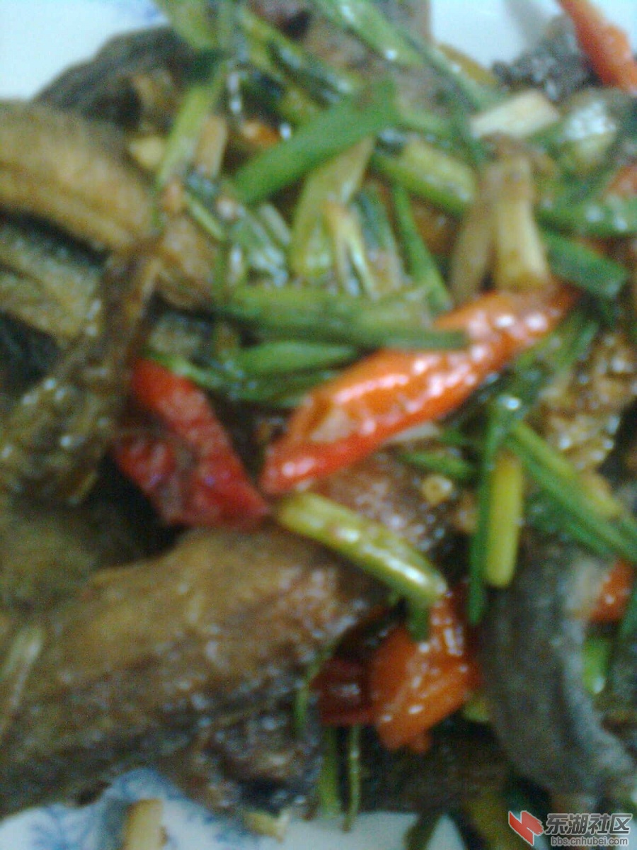 图像0151.jpg