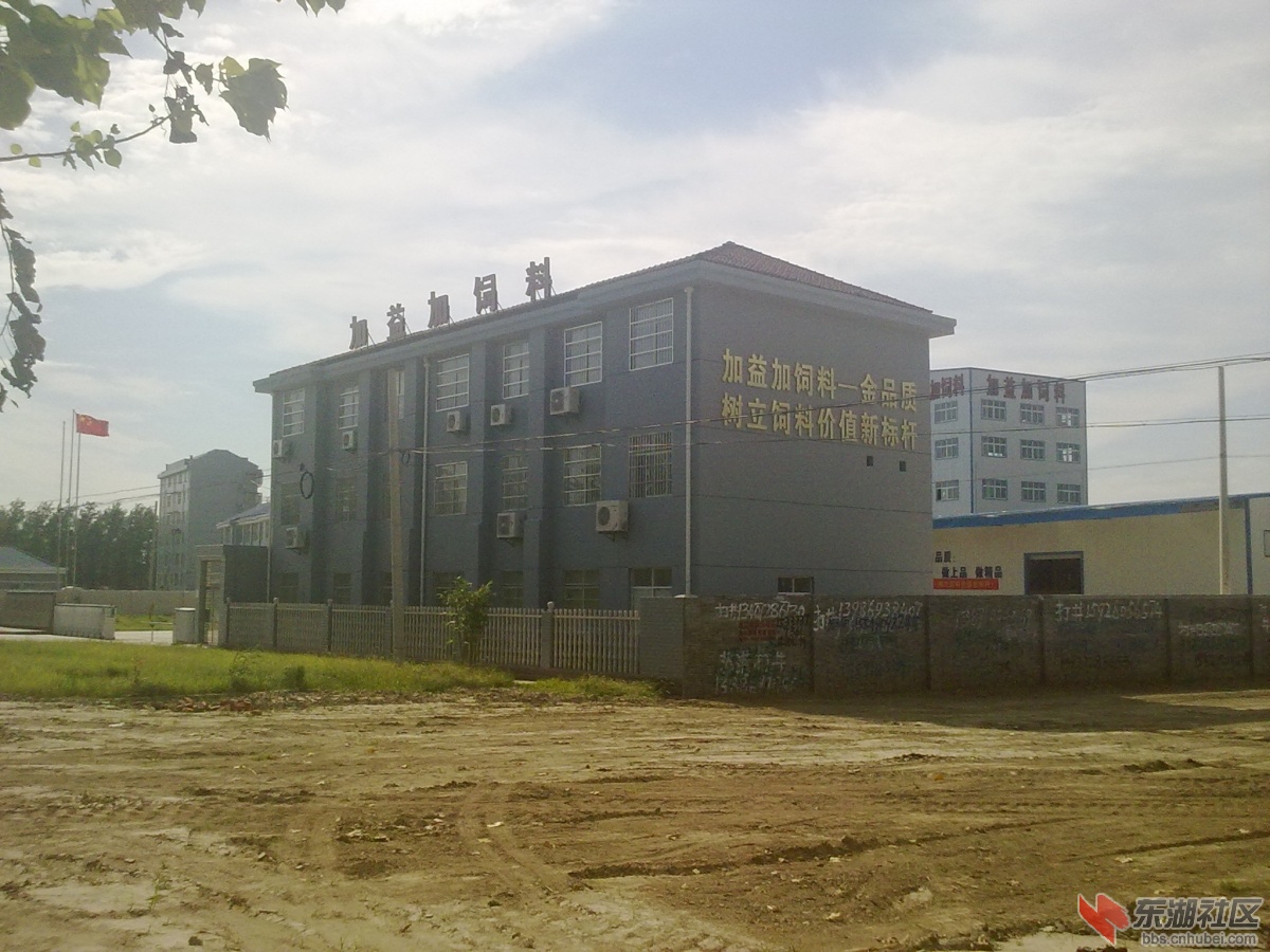 20130805200.jpg