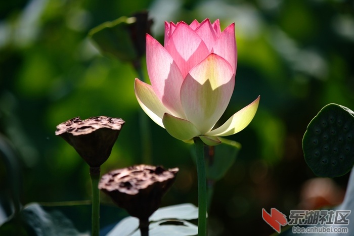 _MG_2018_副本-5-5.jpg