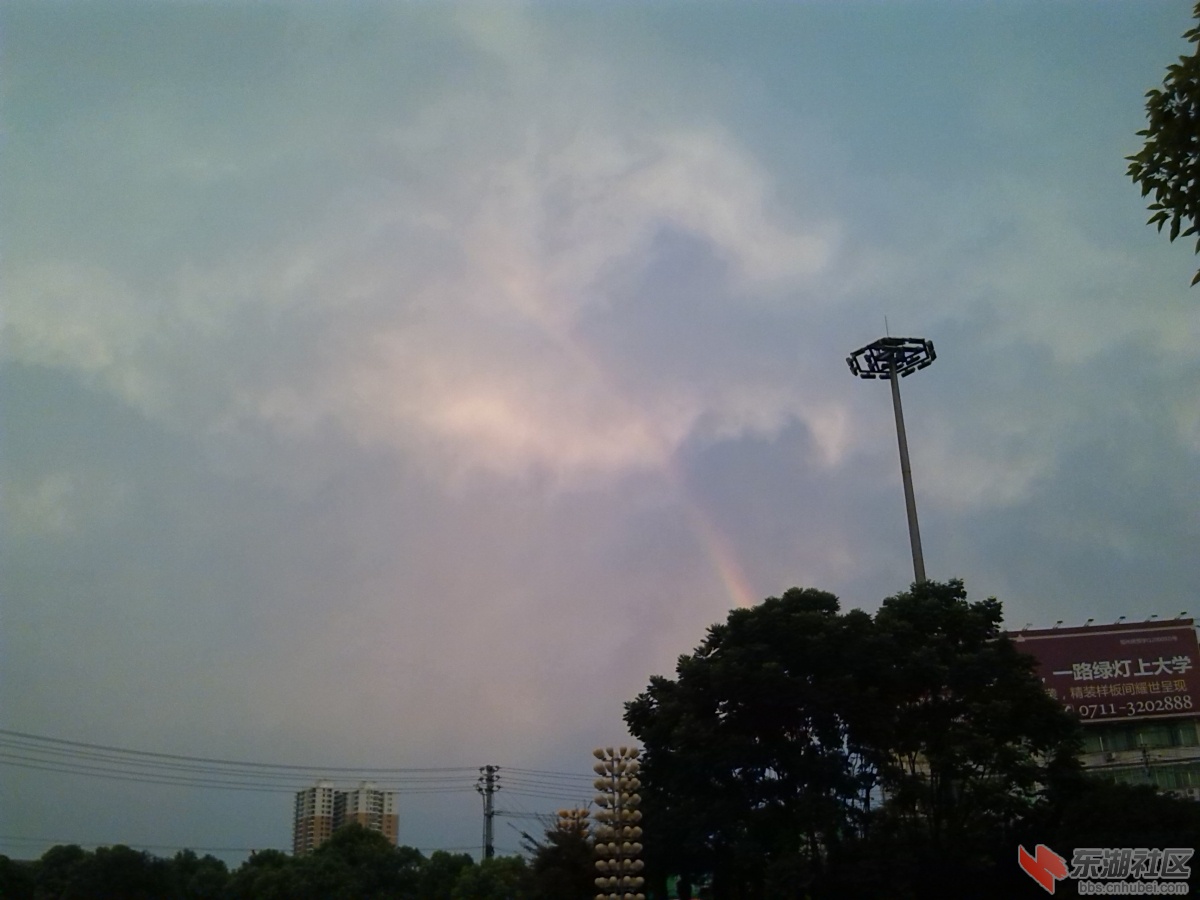 IMG_20130810_185932.jpg