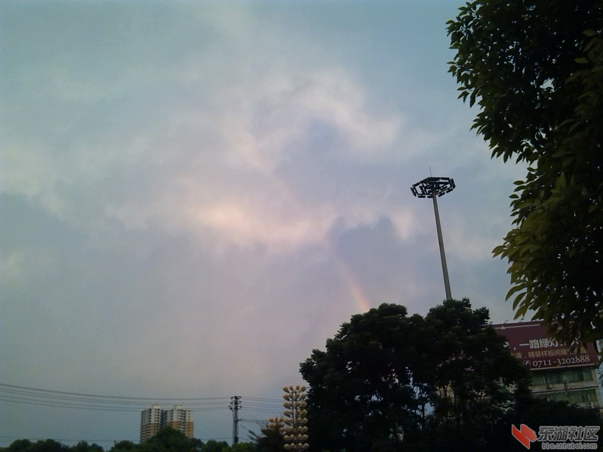 IMG_20130810_185918.jpg
