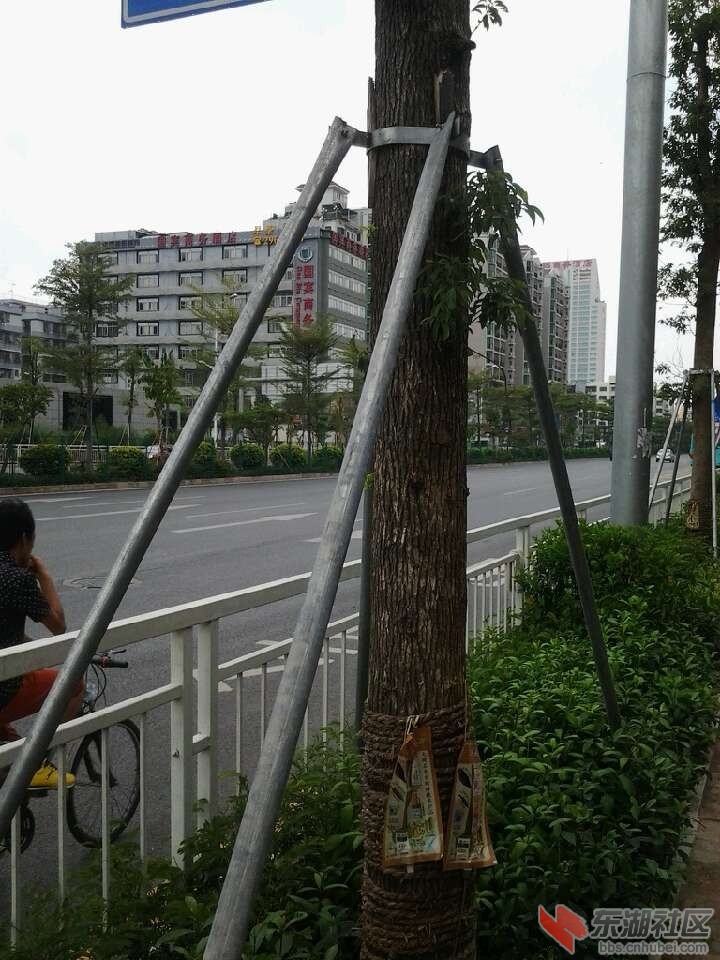 深1.jpg