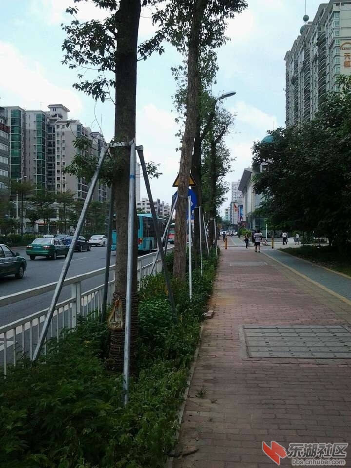 深圳2.jpg
