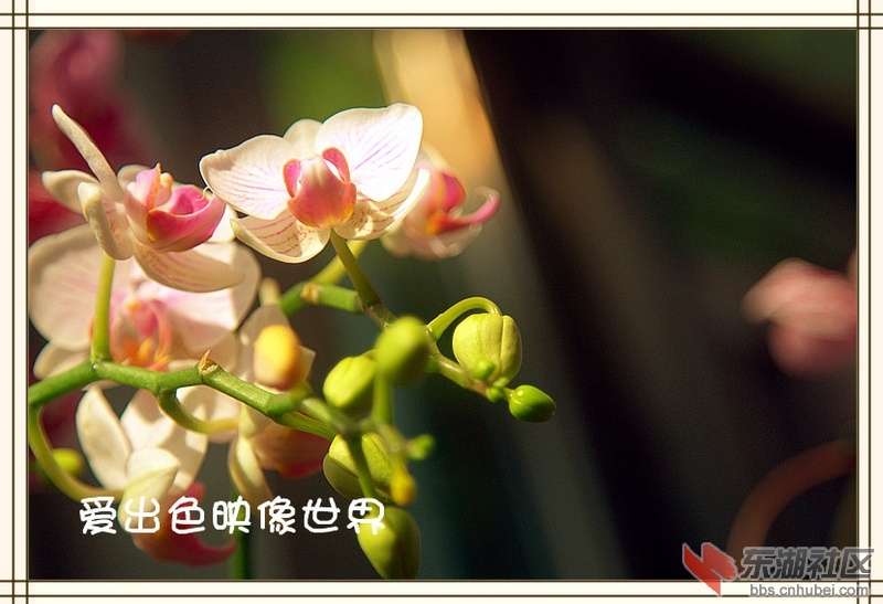 4b00499ea.jpg