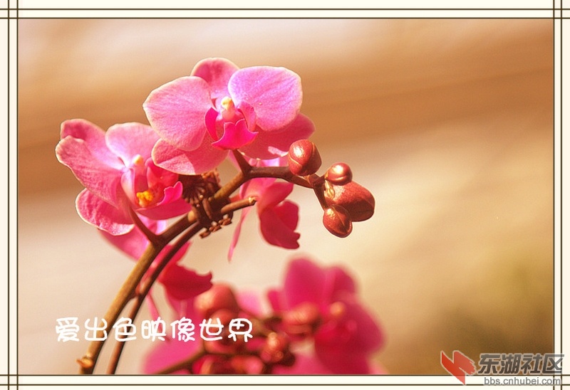 a5125f60a.jpg