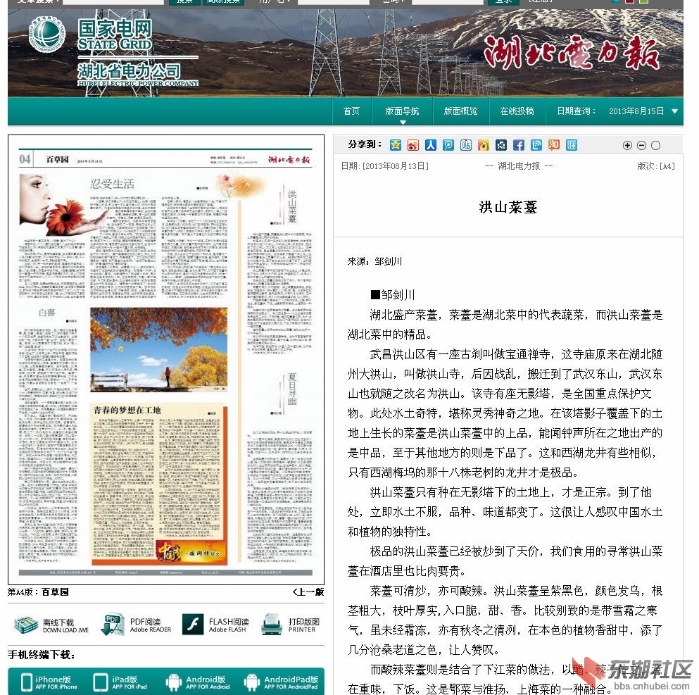 洪山菜薹_副本.jpg