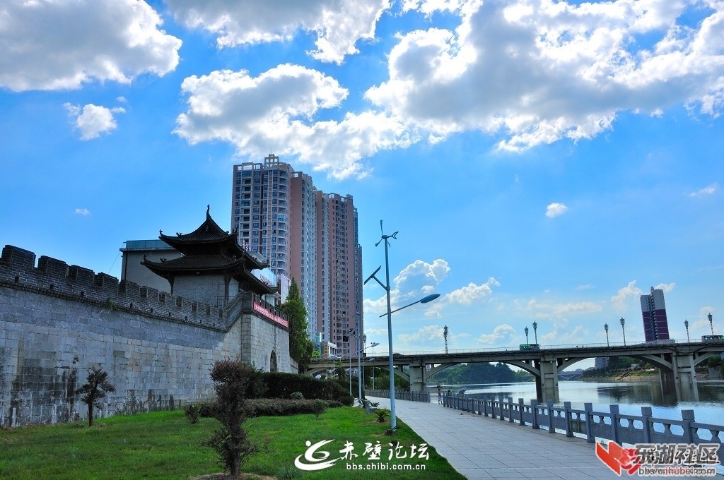 1021358yuaytq5wpwg8c6g.jpg