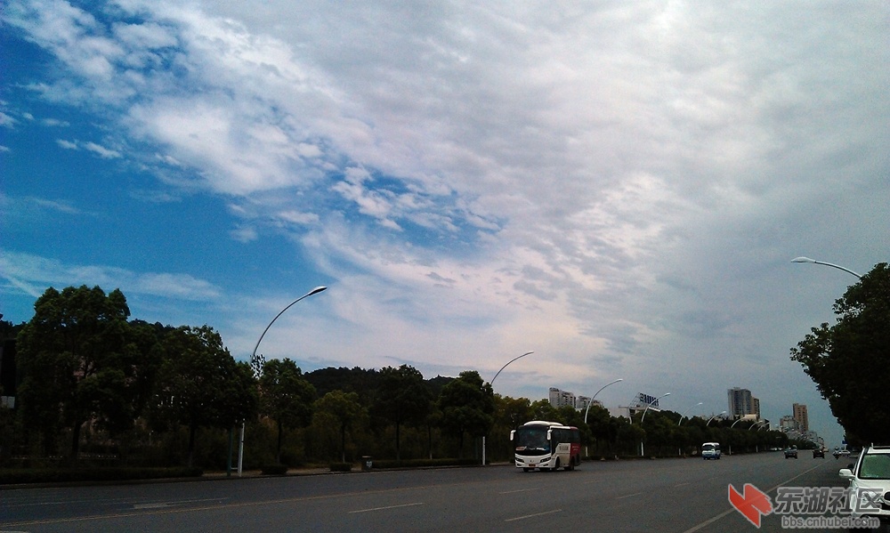 IMAG0013.jpg