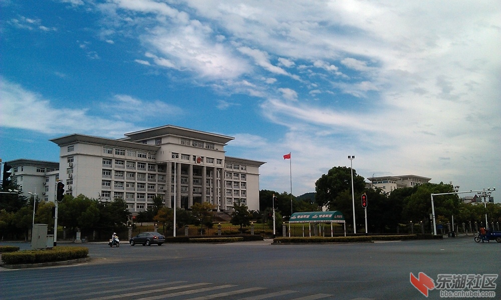 IMAG0015.jpg