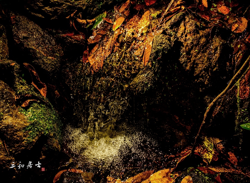 _P1A5901.jpg
