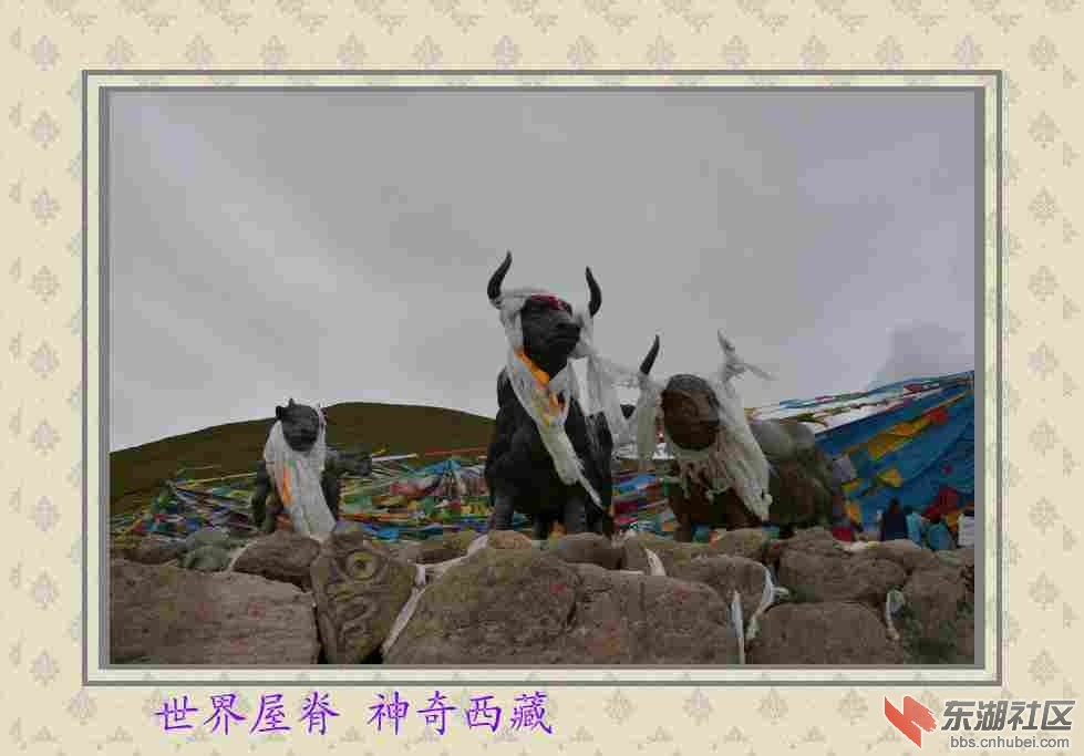 复件 DSC_0266_conew1.jpg