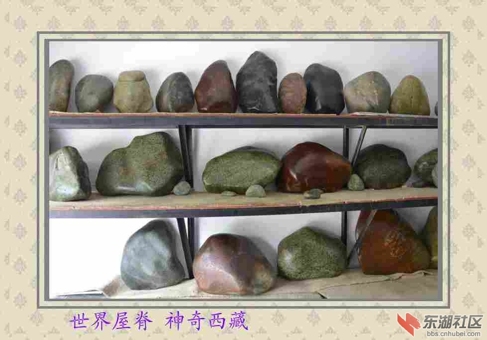 DSC_0111_conew1.jpg