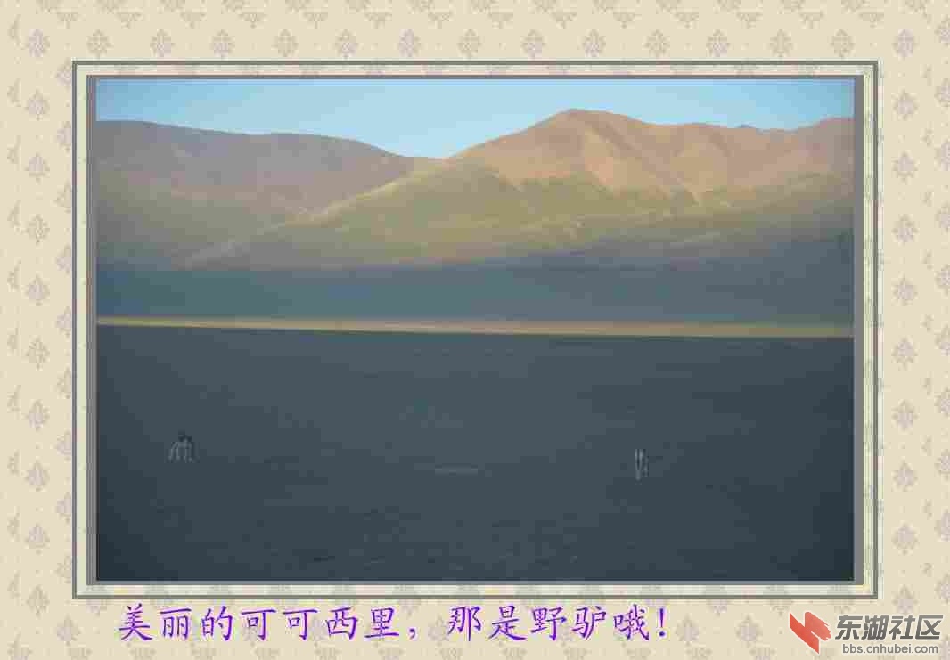 DSC_0430_conew1.jpg