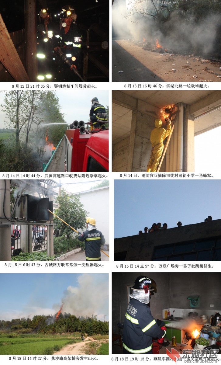 组图.jpg