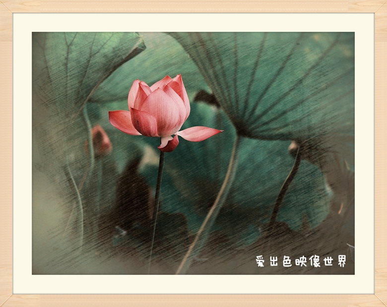 IMG_6140_副本.jpg