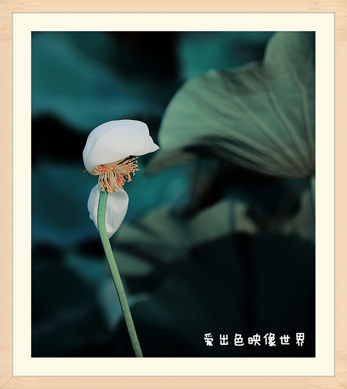 IMG_6029_副本.jpg