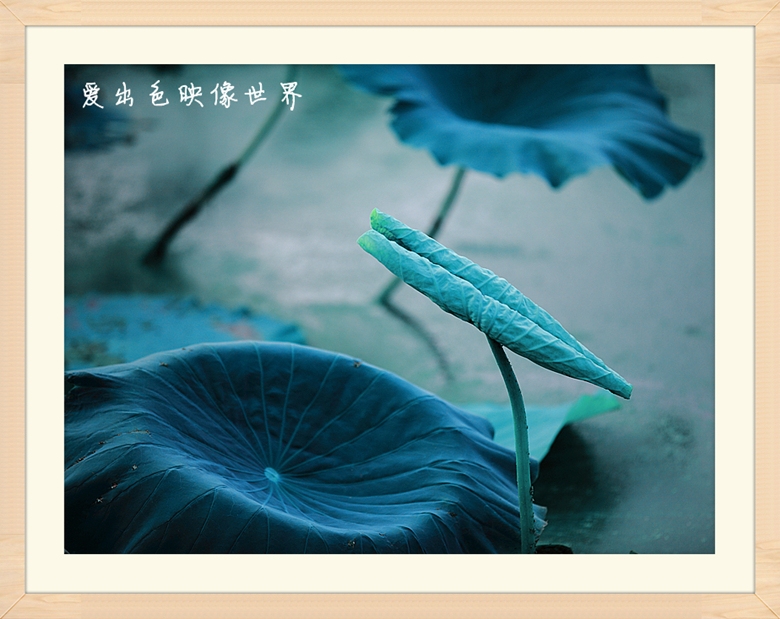 IMG_6098_副本.jpg
