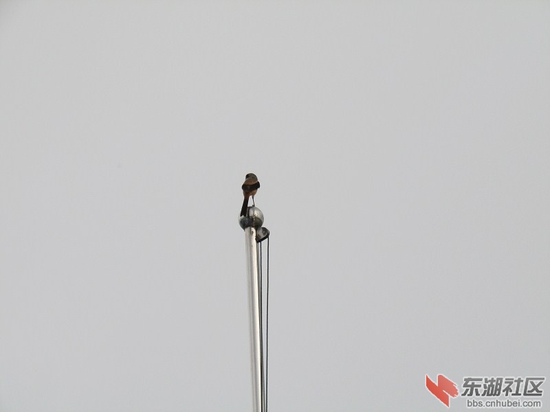 psbCA7RF0A6.jpg