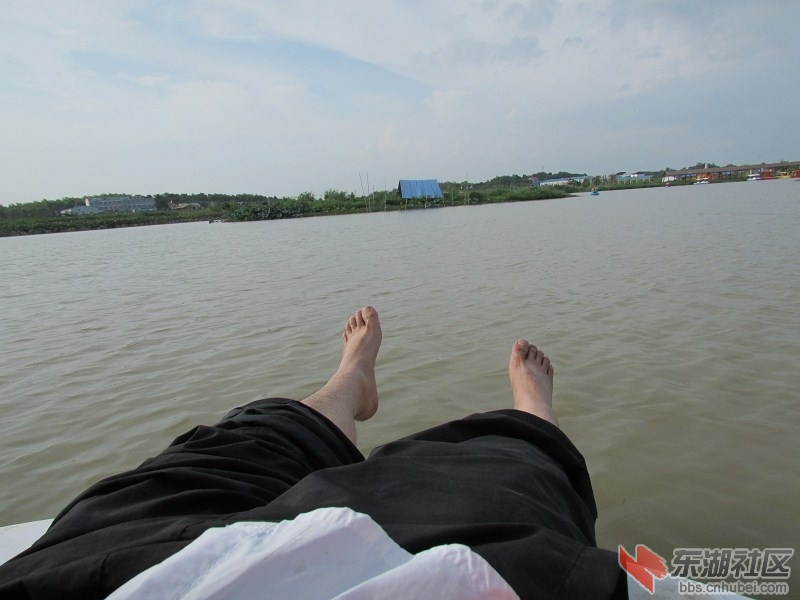 psbCA36WFMV.jpg