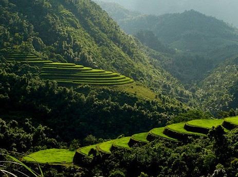 大山深处.jpg