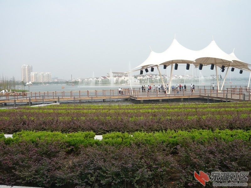 P1020439_缩小大小.JPG