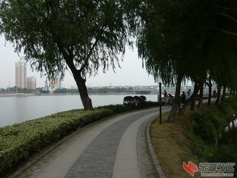 P1020417_缩小大小.JPG