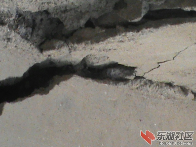 DSC00100.JPG