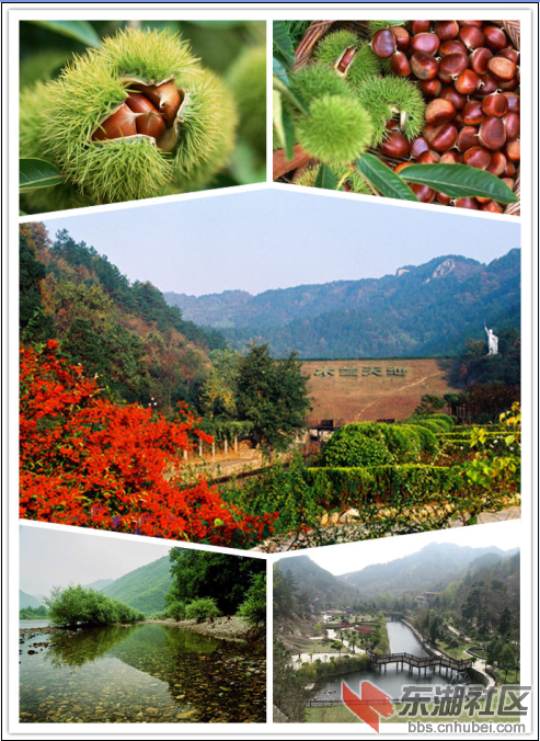 QQ截图20130905131243.png