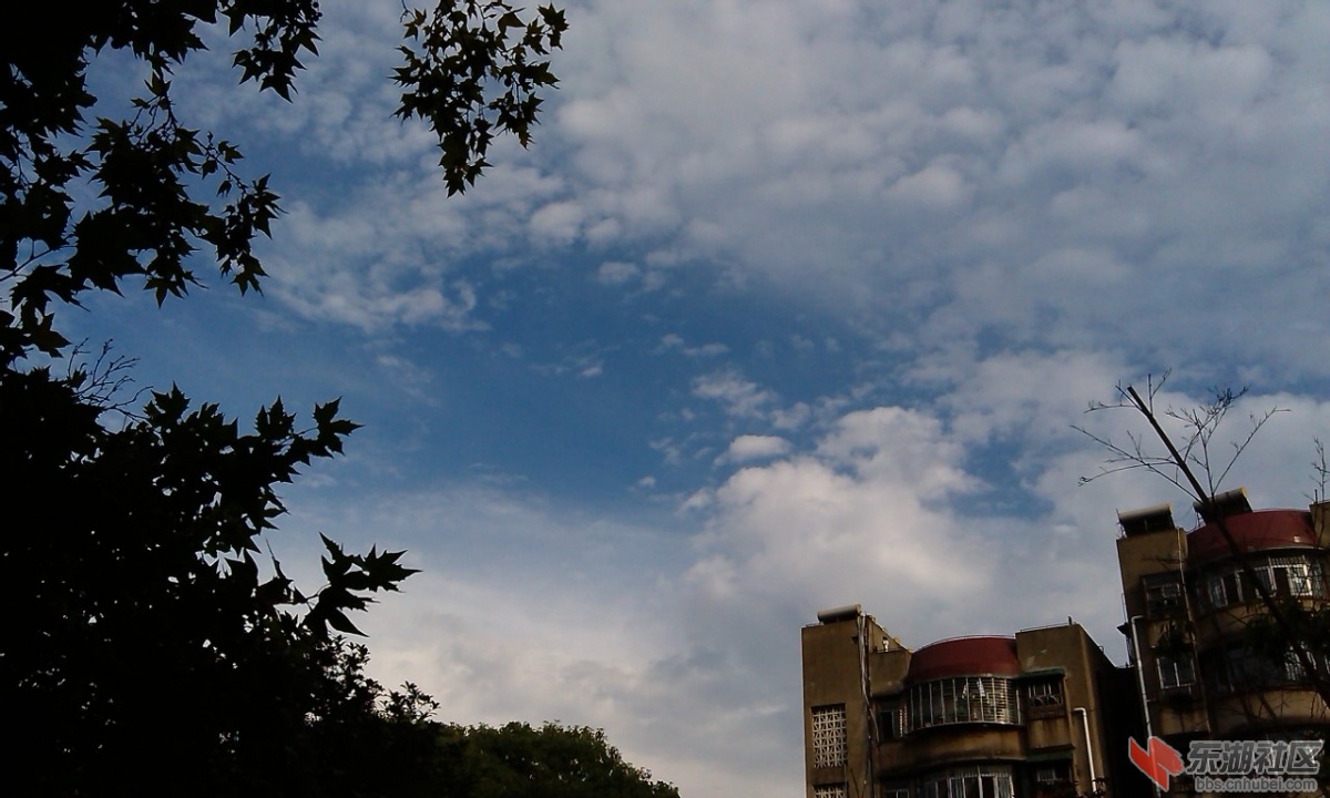 IMAG7609.jpg
