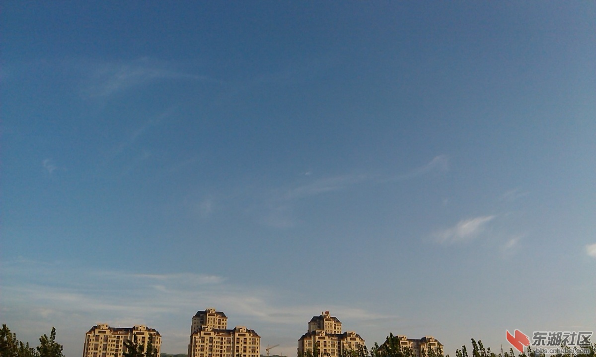 IMAG7622.jpg