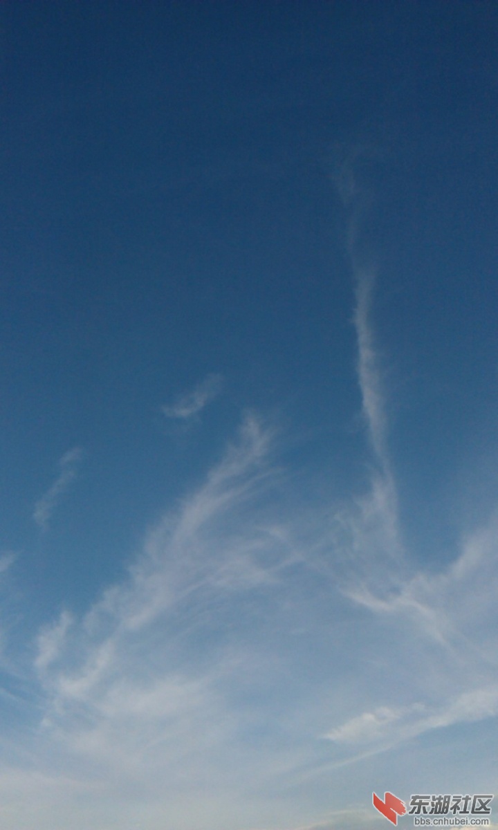 IMAG7627.jpg