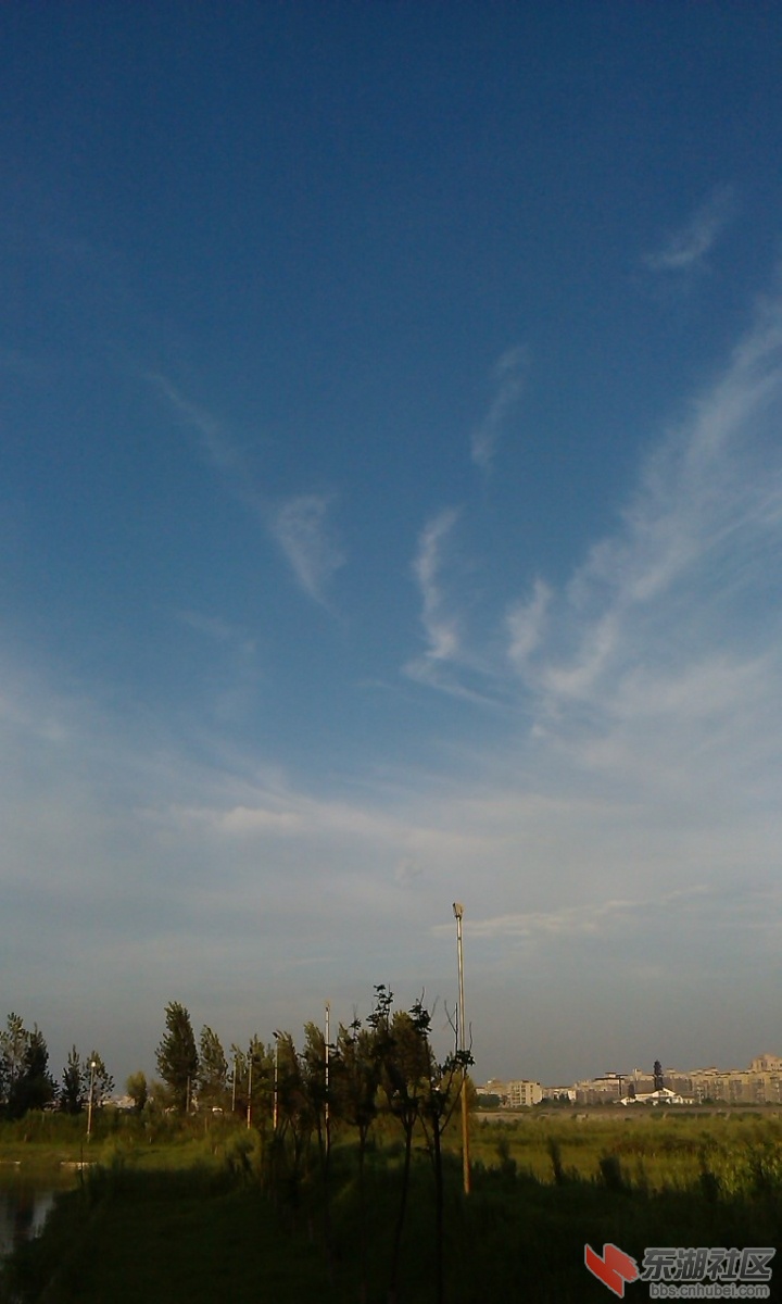 IMAG7633.jpg