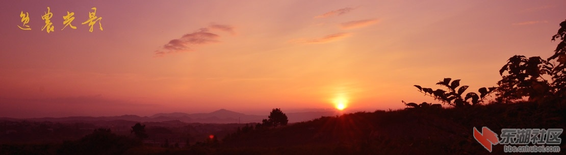 DSC_8512－2.jpg