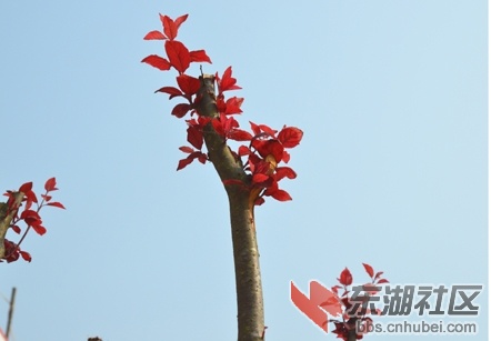 DSC_1790－1小.jpg