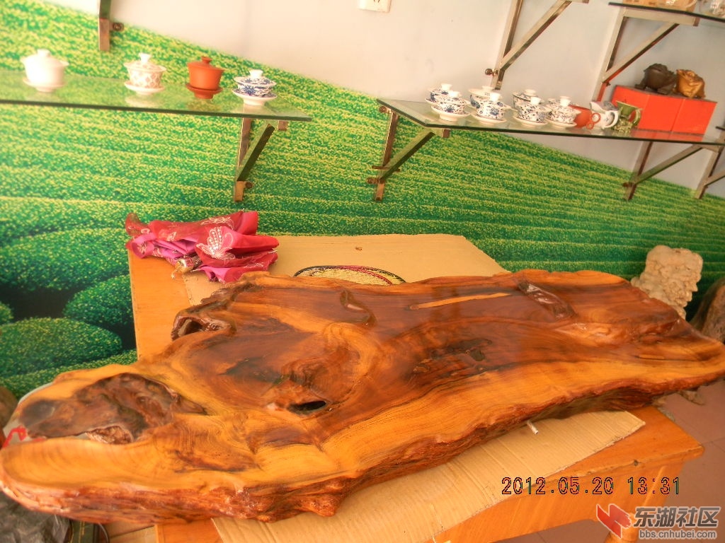 DSCN8222.JPG