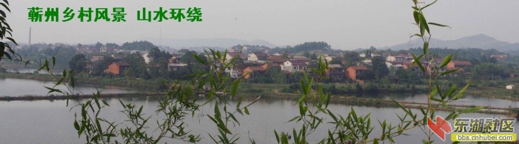162610pxi0oxp2ozrjq2z0.jpg