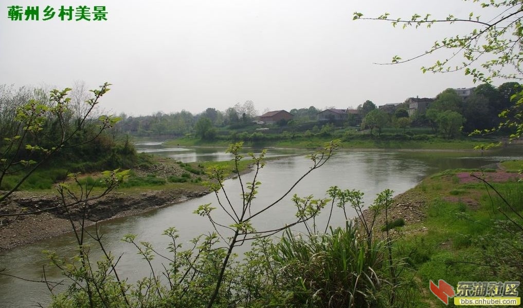 162810rf7cfjrogv7xlplo.jpg