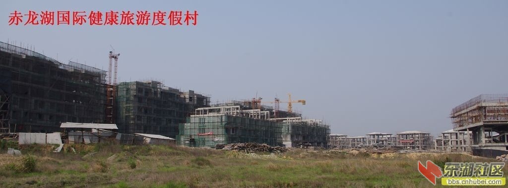 162824ea744kiyifuo55a6.jpg