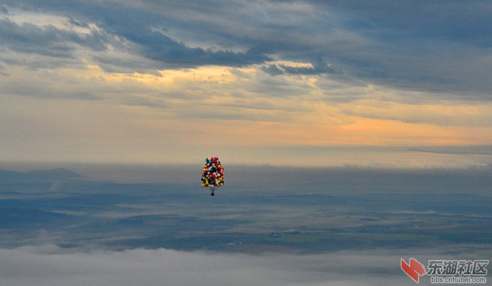 7462477_980x1200_0.jpg
