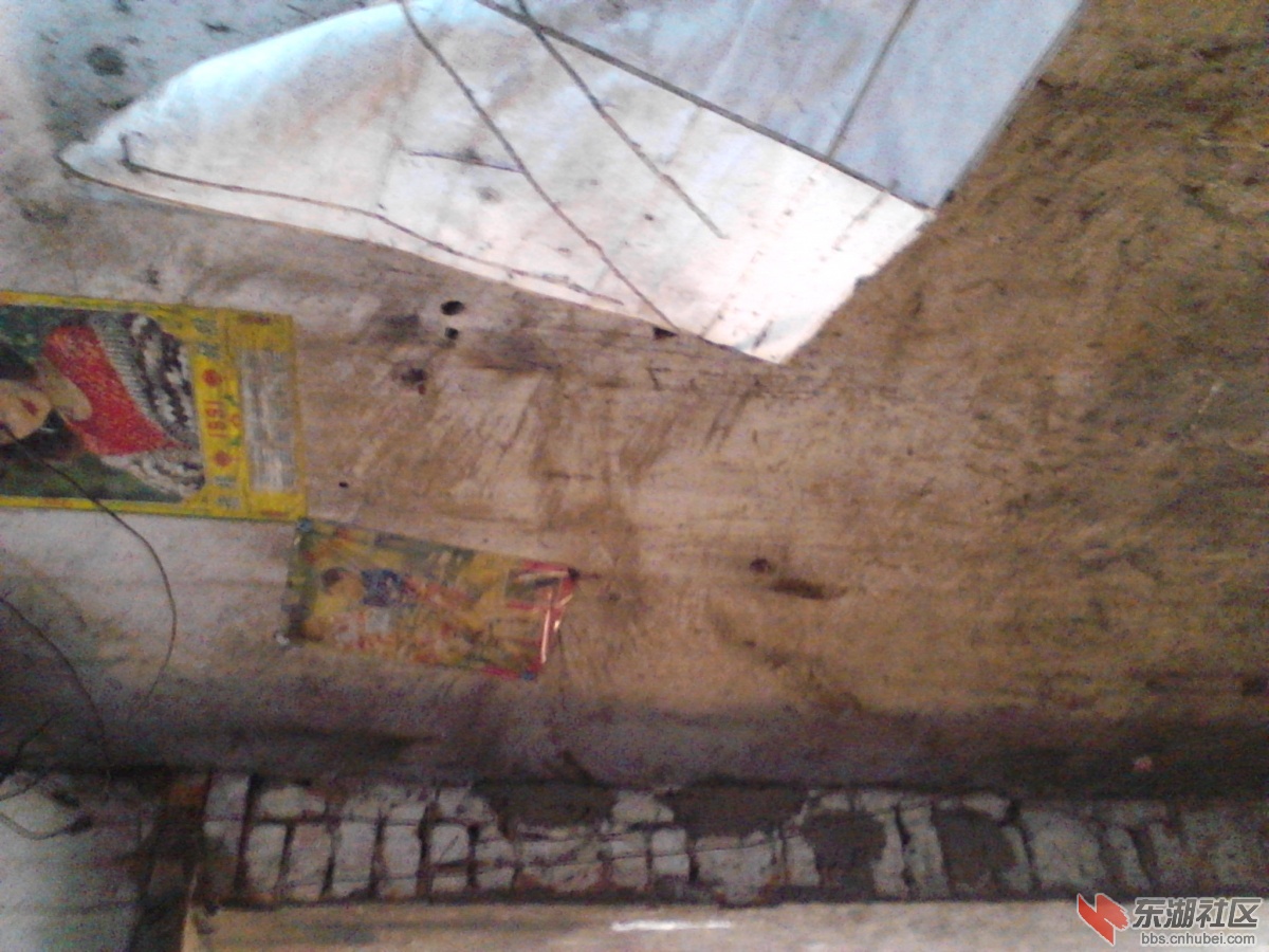 Camera_20130315_083449.jpg