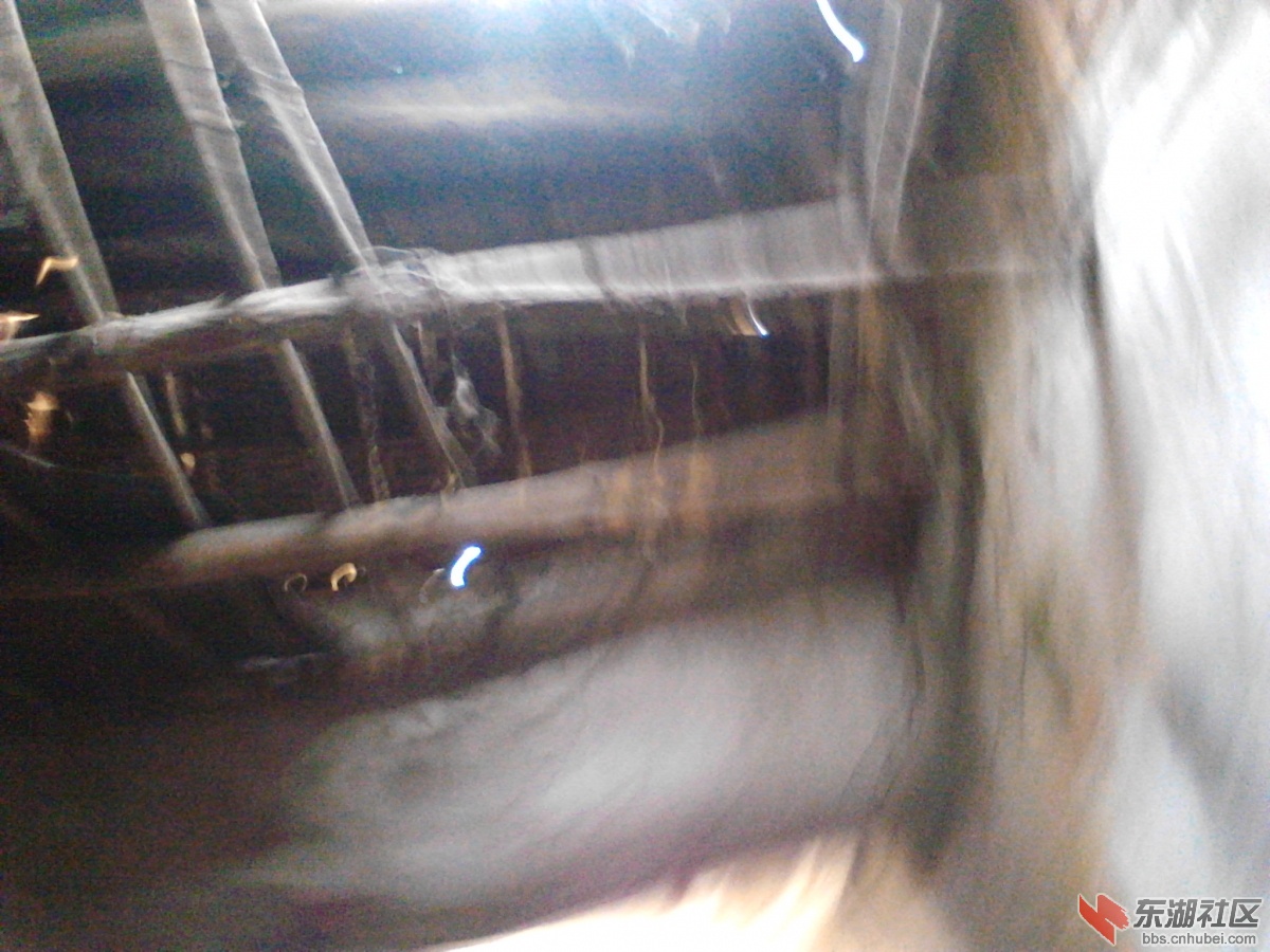 Camera_20130315_083542.jpg