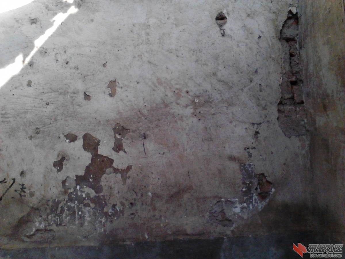 Camera_20130315_093042.jpg