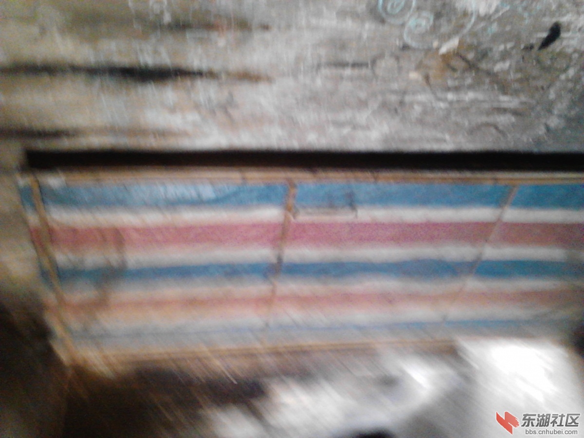 Camera_20130315_093155.jpg