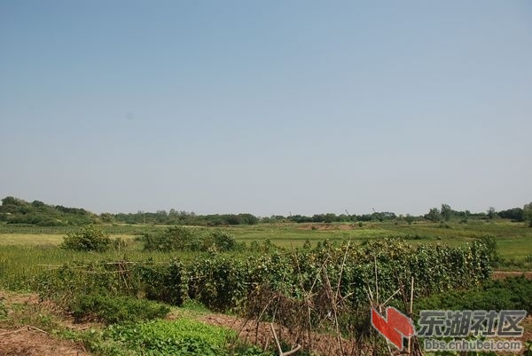 nEO_IMG_DSC_3645.jpg