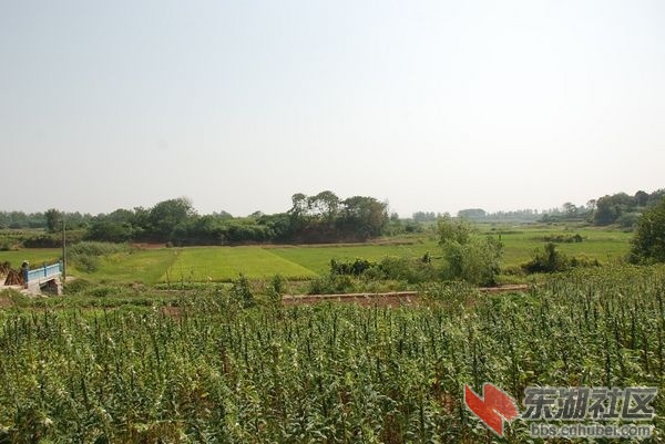 nEO_IMG_DSC_3647.jpg